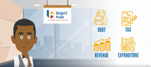 Bujeti-Hub-Approaches and Pillars of our Work