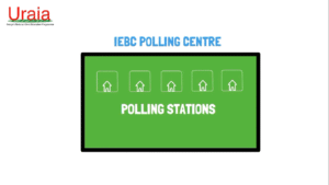 The Voting Process- How to Vote